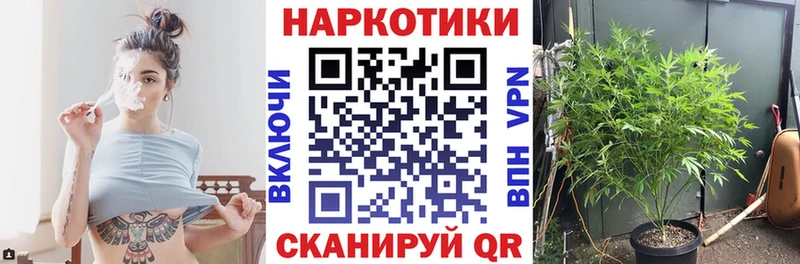 Лсд 25 Николаевск