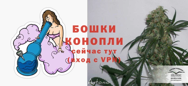 стафф Богородск