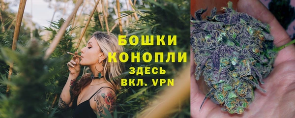 MESCALINE Богданович
