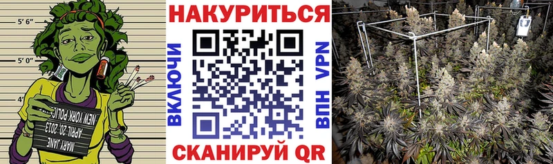 Купить  Николаевск  Шишки марихуана MAZAR 